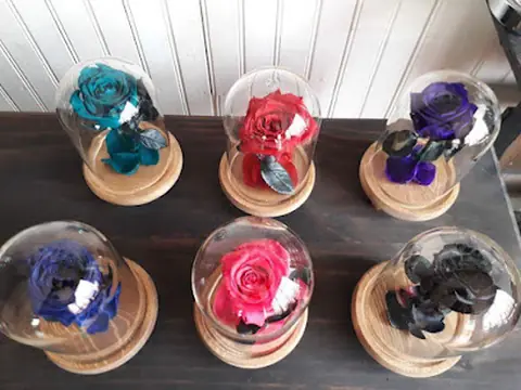 Alseide Rosas