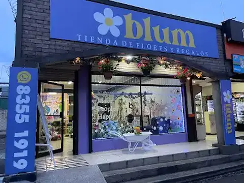 Blum: flores y regalos