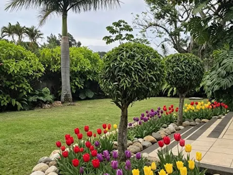 Flor Silvestre (Mantenimiento de Jardines)