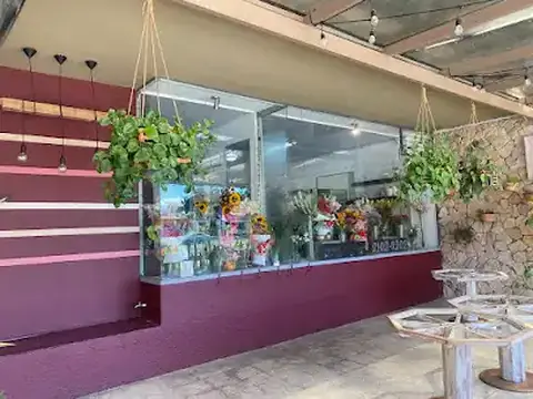 Flores Blooms