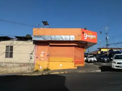 Floristería Alfa