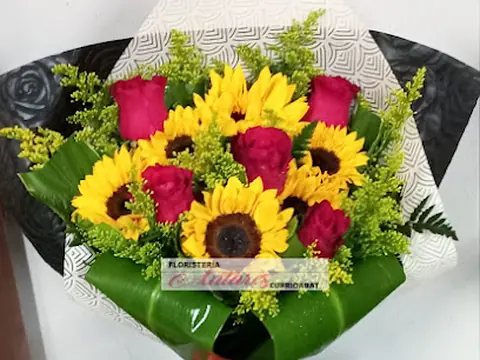 Floristería Antares Curridabat