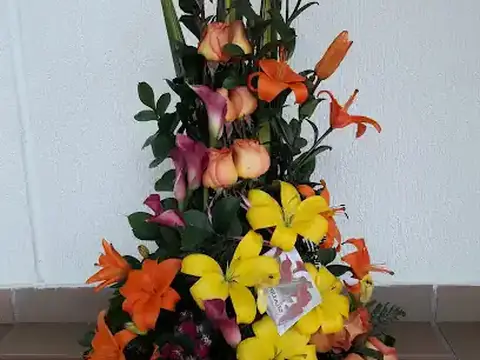 Floristeria Blooms