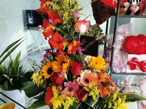 Floristeria Colibri