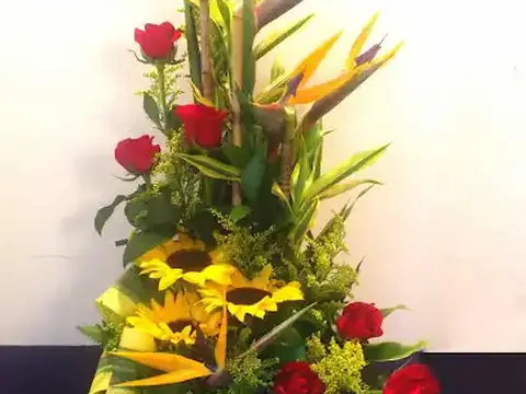 Floristería Colón