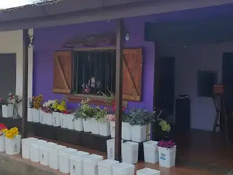 Floristeria El Sapito Verde