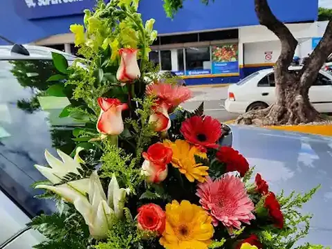 Floristería FlorArte