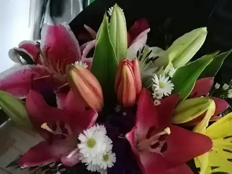 Floristería Las Catalinas