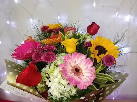 Floristería Liberia