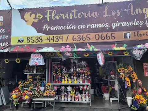 Floristería los Ángeles