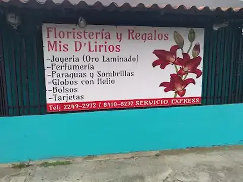 Floristeria Mis D» LIRIOS