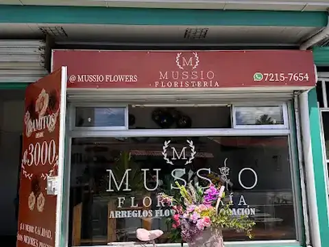 Floristería Mussio Hatillo