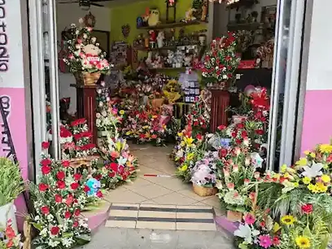 Floristería Rosa de Francia