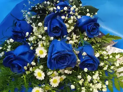 Floristeria Rosa Griega