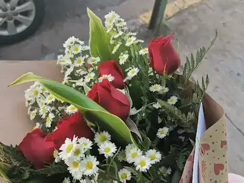 Floristería San Isidro
