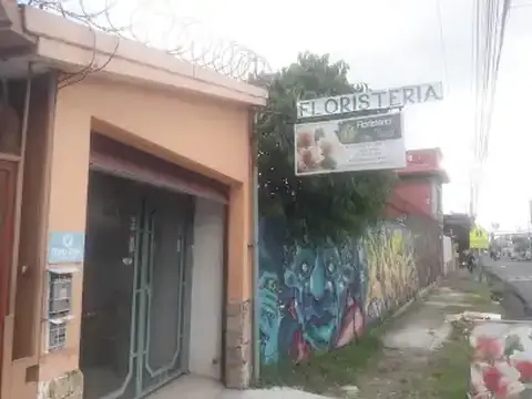 Floristería San Pedro