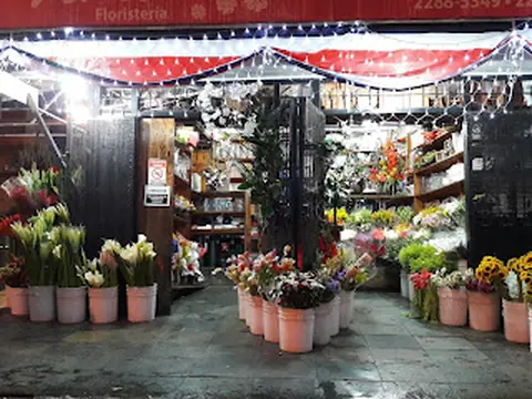Floristería Vivai