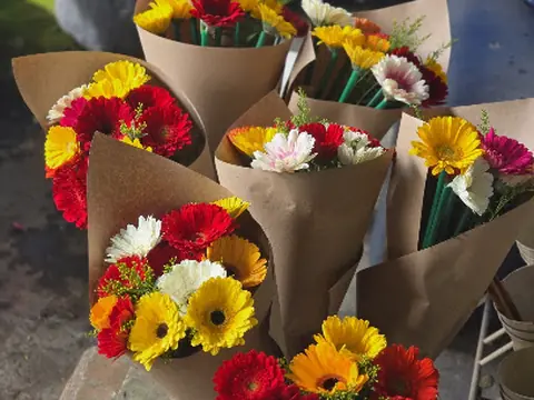 Floristeria y Eventos Clachar.