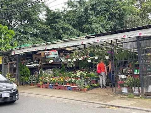 Floristería y vivero by flor de tierra escazu