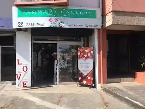 Flowers Gallery Floristería y Eventos