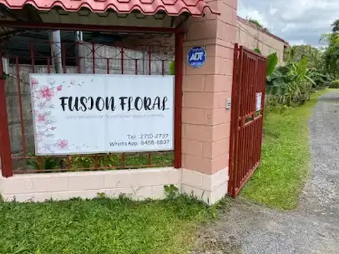 Fusión Floral
