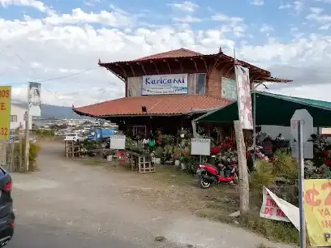 Karicami