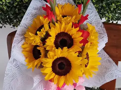 Kingdom of Flowers