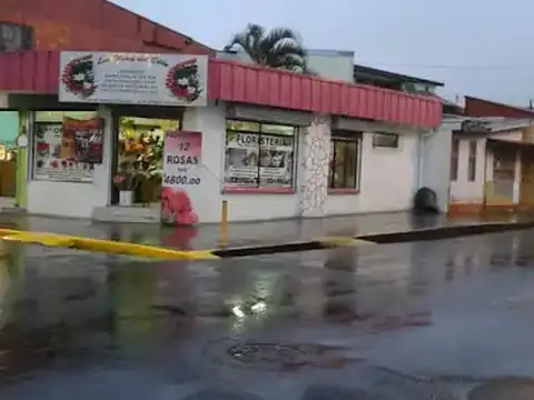 Las Flores Del Edén