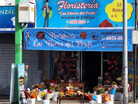 Las Flores Del Profe