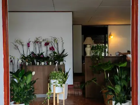 Savia Vivero y Floristería